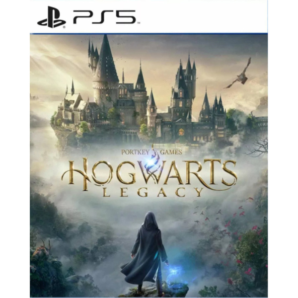 Игра Hogwarts Legacy (PS5, русские субтитры) 1